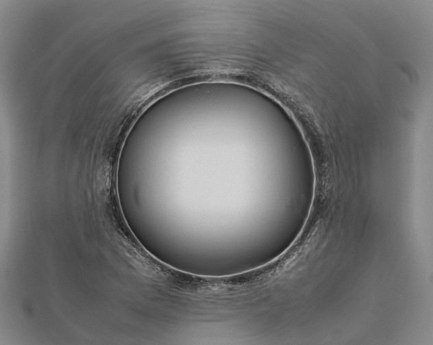 X0000113011169200909031308