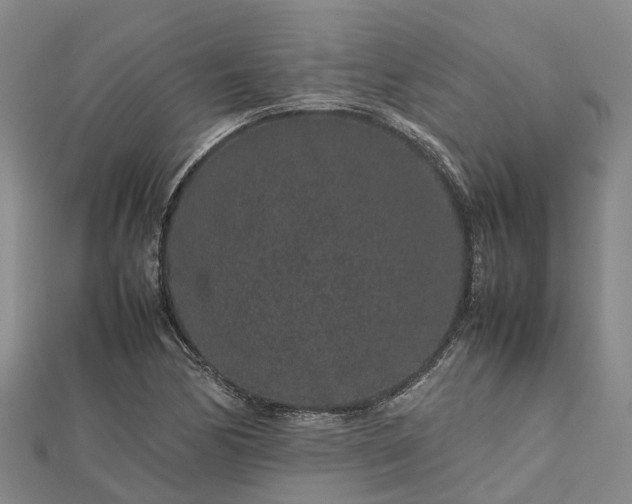 X0000113011170200909031308