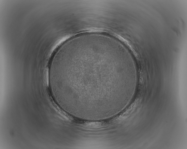 X0000113011171200909031308