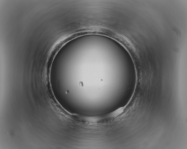 X0000113011172200909031308