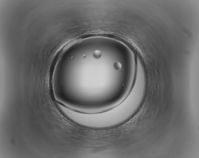 X0000113011173200909031307