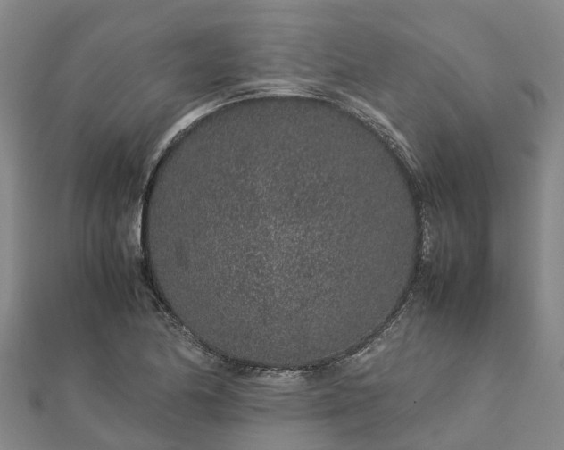 X0000113011174200909031307