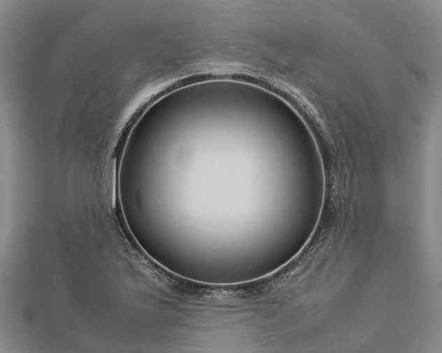 X0000113011175200909031307