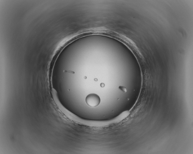 X0000113011176200909031307