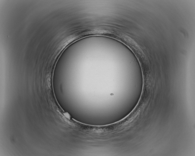 X0000113011177200909031307