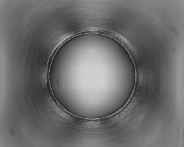 X0000113011178200909031307