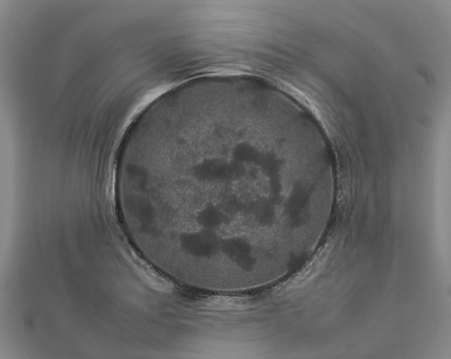 X0000113011179200909031307