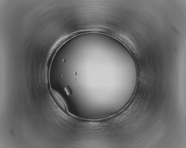 X0000113011180200909031307