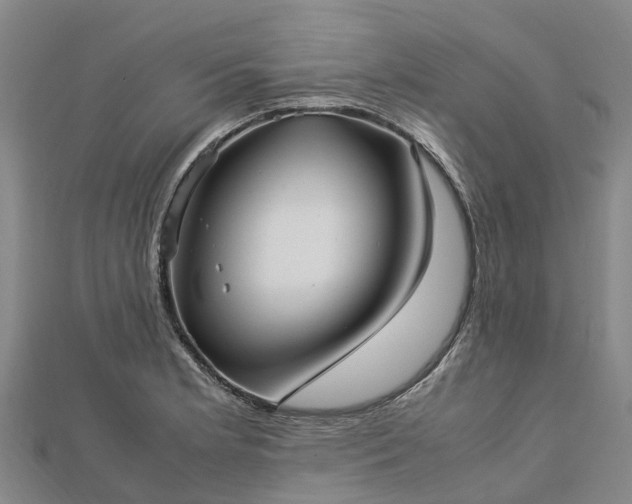 X0000113011181200909031307