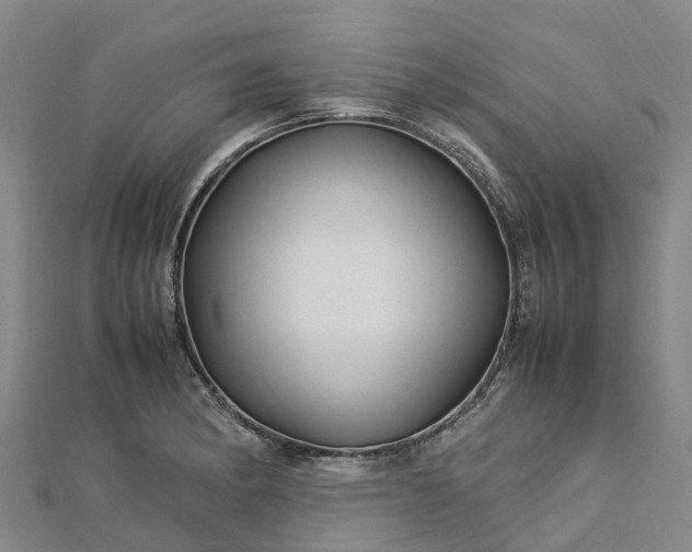 X0000113011182200909031307