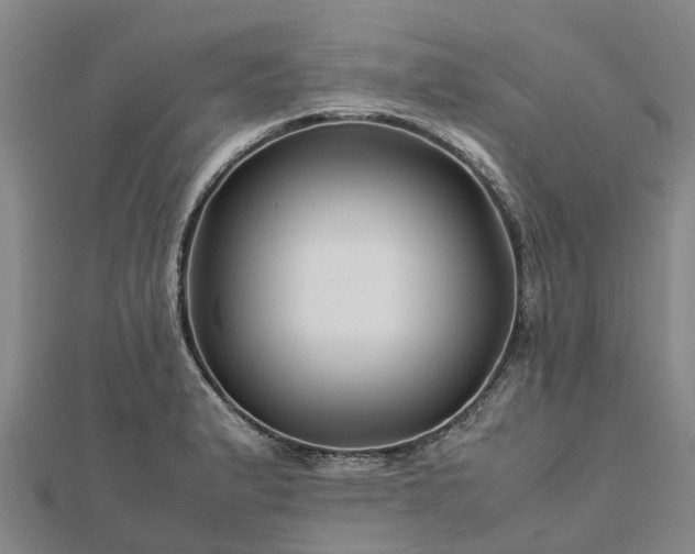 X0000113011183200909031307