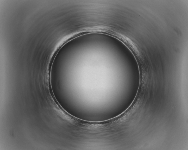 X0000113011184200909031307