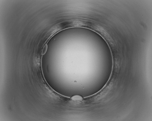 X0000113011185200909031307