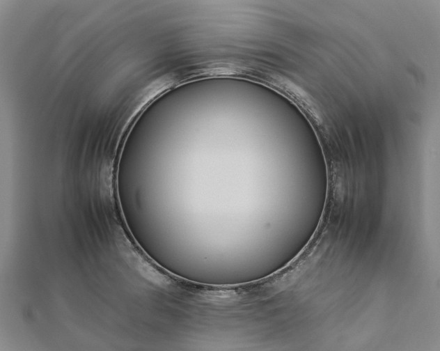 X0000113011186200909031307