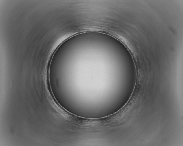 X0000113011187200909031307