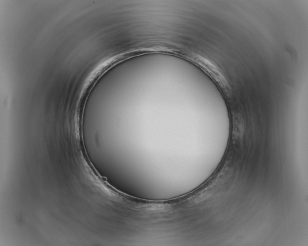 X0000113011188200909031307