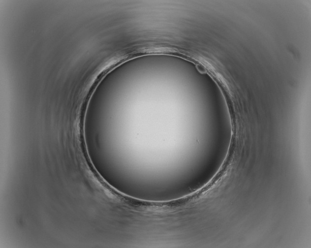 X0000113011189200909031307