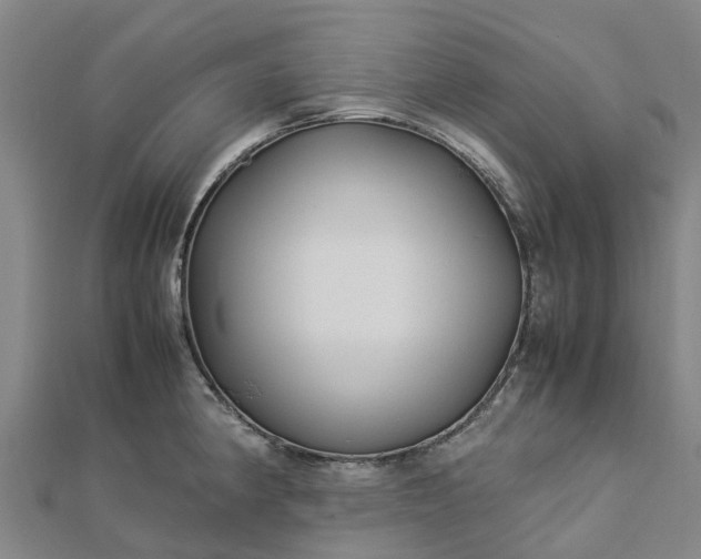 X0000113011190200909031307