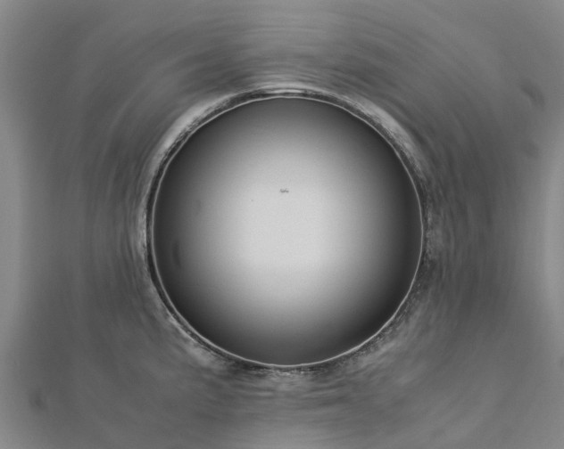 X0000113011191200909031307