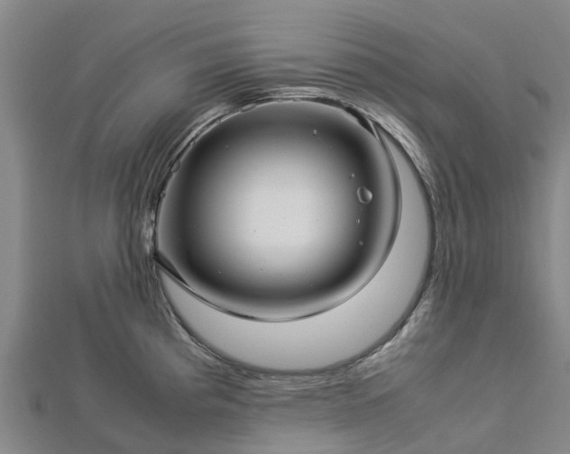 X0000113011193200909031307