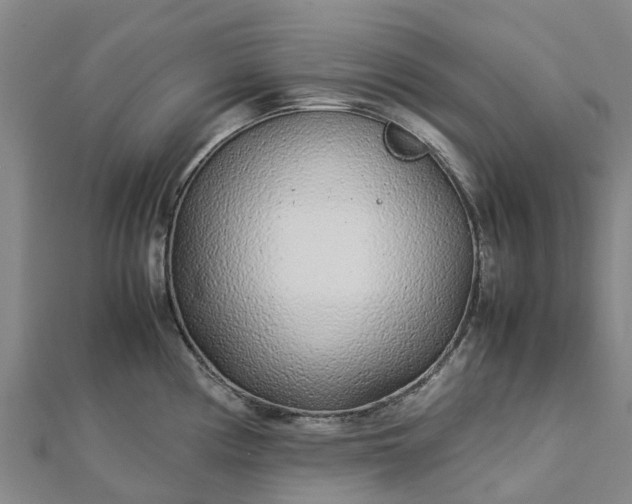 X0000113011194200909031307