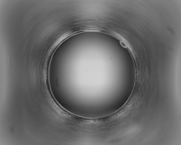 X0000113011195200909031307