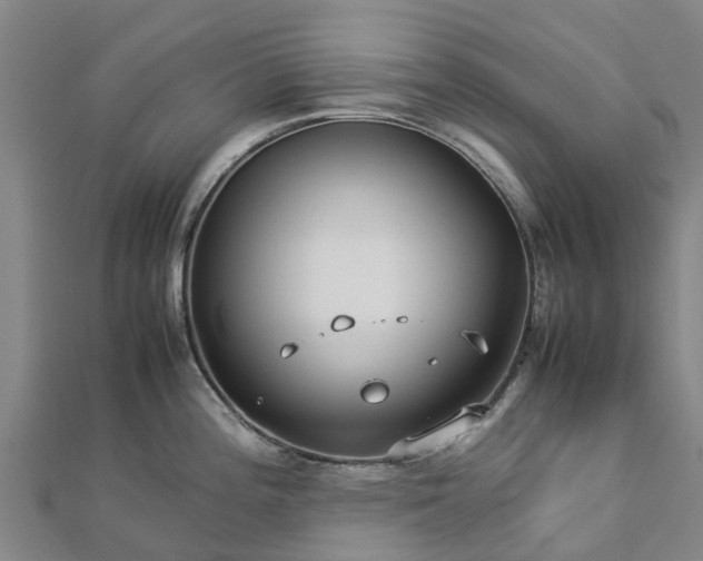 X0000113011196200909031307