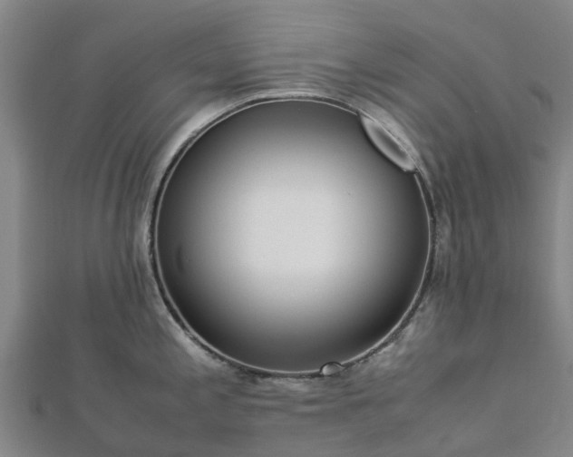 X0000113011197200909031307