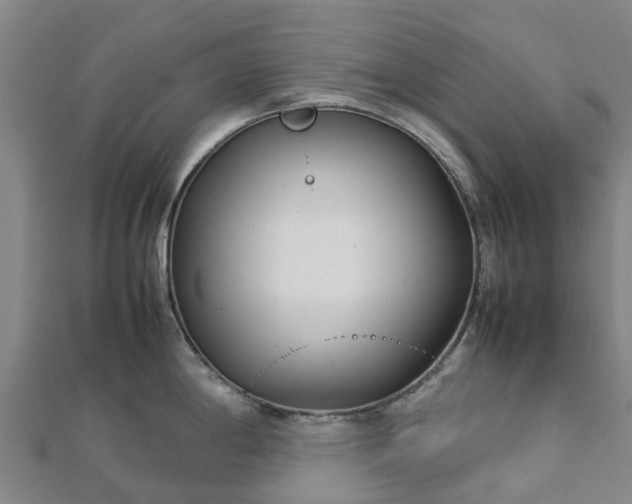 X0000113011198200909031307