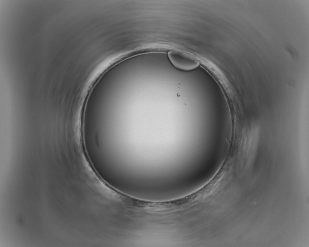 X0000113011199200909031307