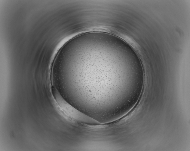 X0000113011200200909031307