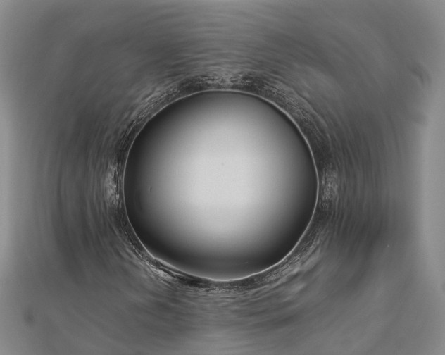 X0000113011202200909031307