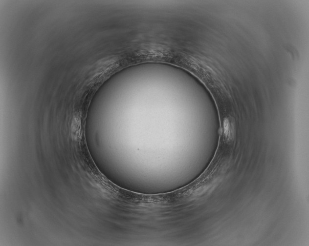 X0000113011203200909031307