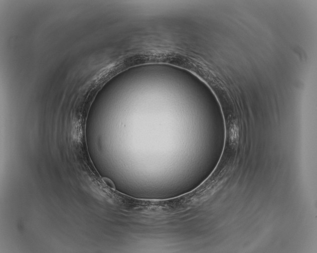 X0000113011204200909031307