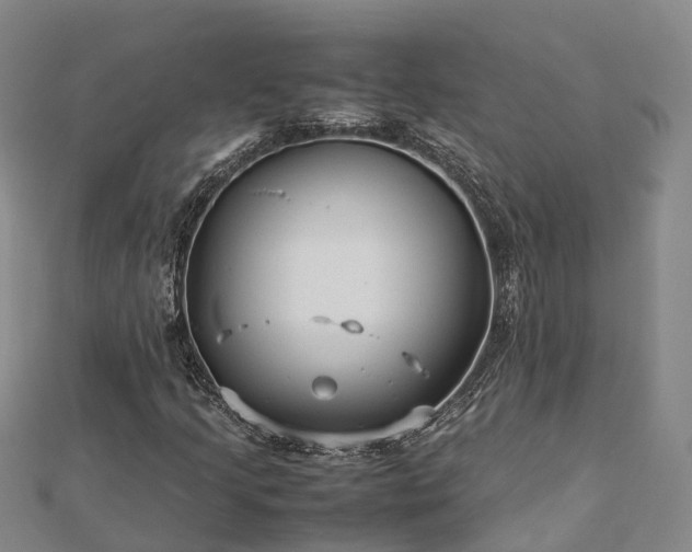 X0000113011205200909031307