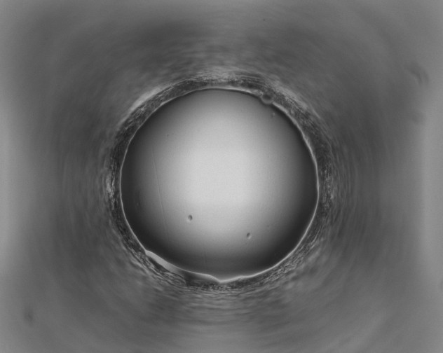 X0000113011206200909031307