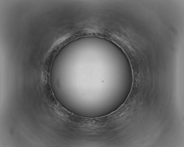 X0000113011207200909031307