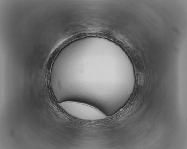 X0000113011208200909031307