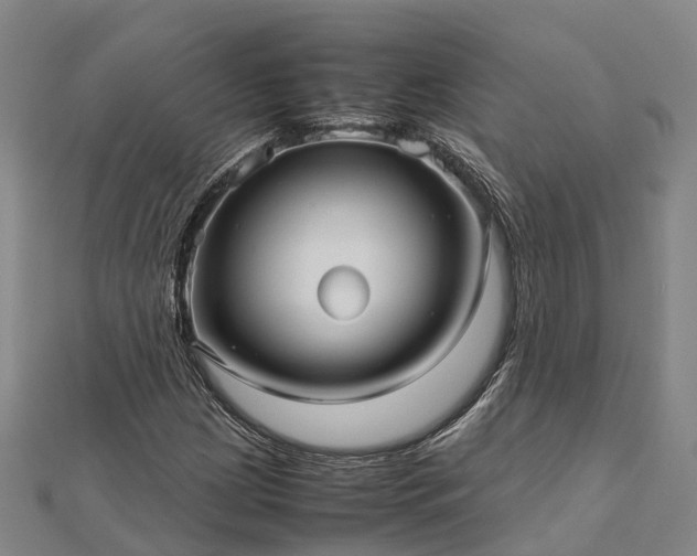 X0000113011209200909031307