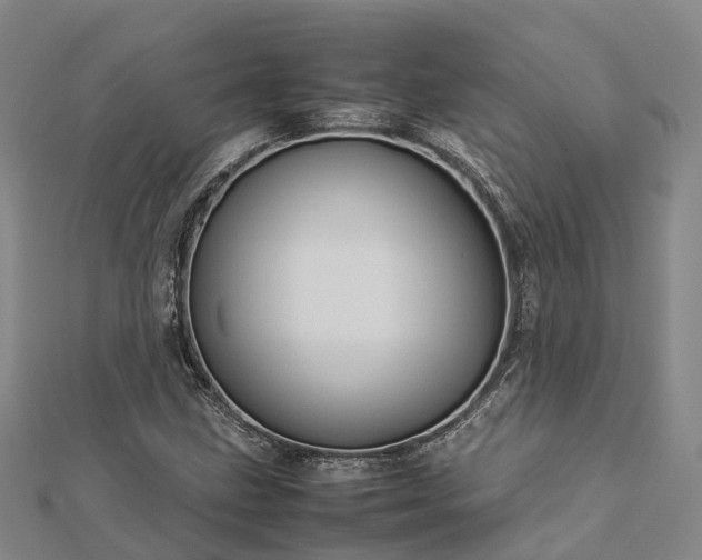 X0000113011211200909031307