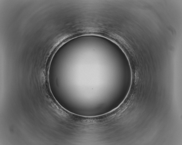 X0000113011212200909031307