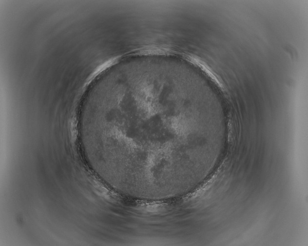 X0000113011213200909031307