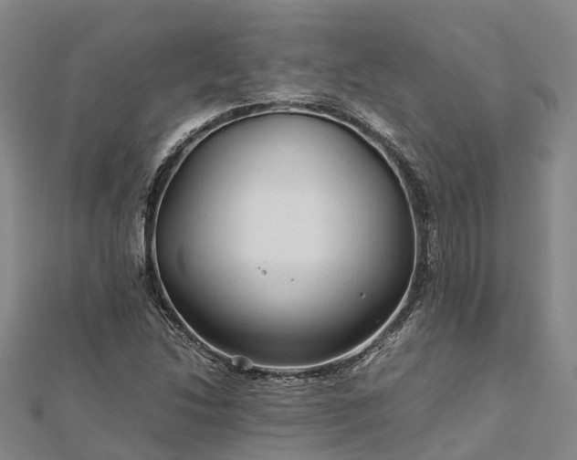 X0000113011214200909031307