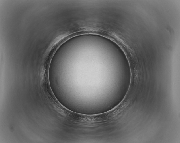 X0000113011215200909031307