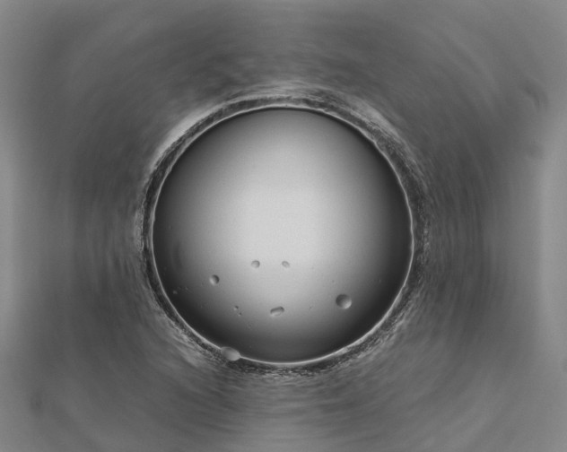 X0000113011216200909031307