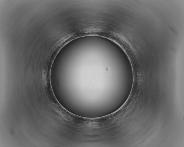 X0000113011217200909031307