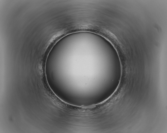 X0000113011218200909031307