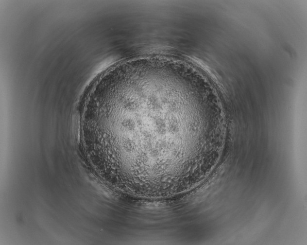 X0000113011219200909031307