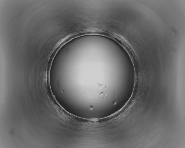 X0000113011220200909031307