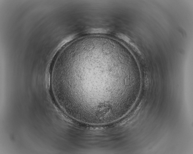 X0000113011221200909031307